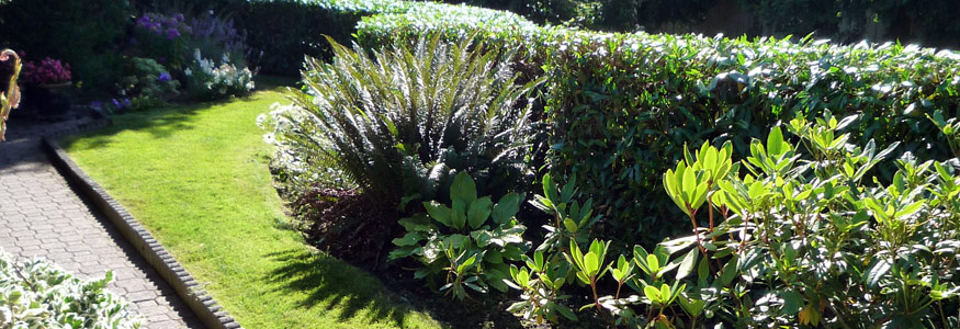 Lawn Ranger Services